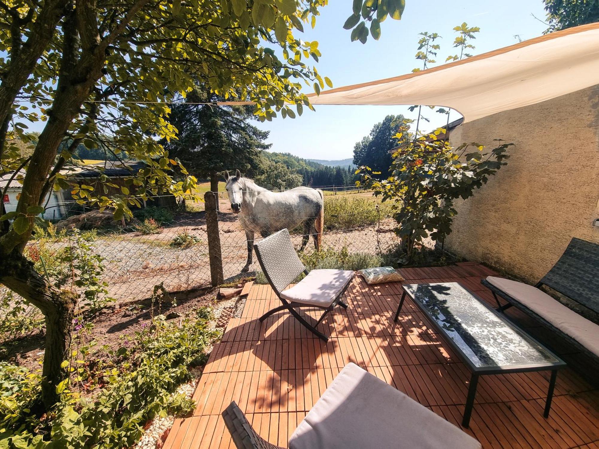 2 Zimmer Wohnung Mit Traumhaftem Blick In Die Natur Neustadt bei Coburg Eksteriør bilde